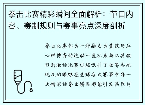 拳击比赛精彩瞬间全面解析：节目内容、赛制规则与赛事亮点深度剖析