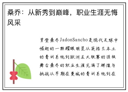 桑乔:从新秀到巅峰,职业生涯无悔风采 桑乔:从新秀到巅峰,职业生涯无悔风采