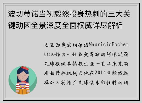 波切蒂诺当初毅然投身热刺的三大关键动因全景深度全面权威详尽解析 波切蒂诺当初毅然投身热刺的三大关键动因全景深度全面权威详尽解析