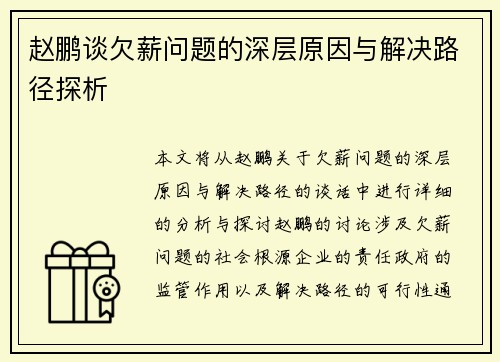 赵鹏谈欠薪问题的深层原因与解决路径探析